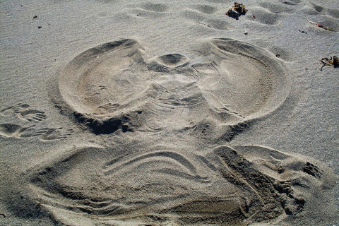 Angels In The Sand