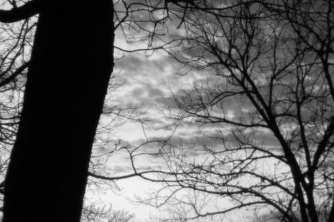 Blackened 