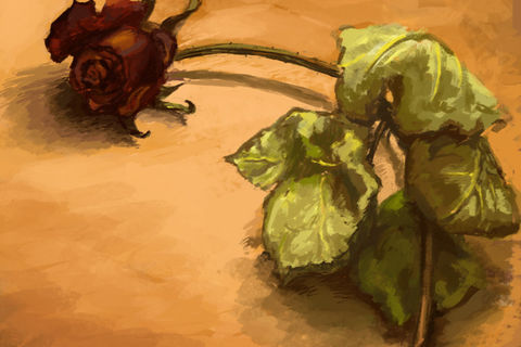 Ritual Reblooming