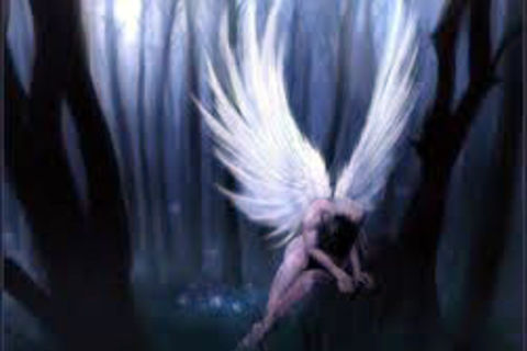 An angel’s Wing 