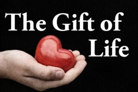 The Gift of Life 