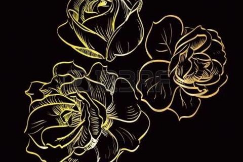 Black and Gold.. 
