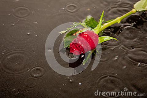 SOUL MATES SUICIDE