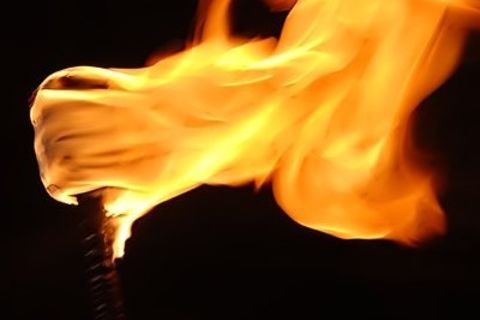 Torchlight