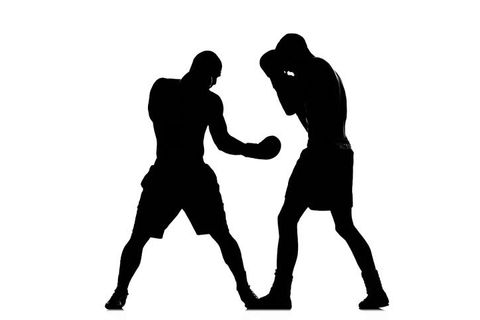 TWO FIGHTERS 