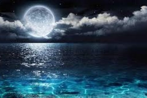 Moonlight 