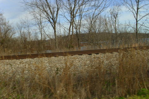Sweet West Virginia Boy