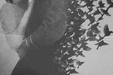 One Thousand Times in Love