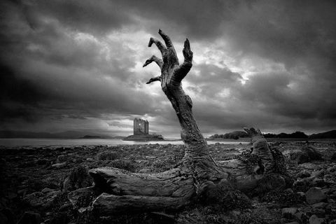 Left Behind