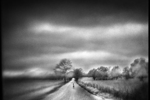 Transience Part Five (15 Word Challenge) 