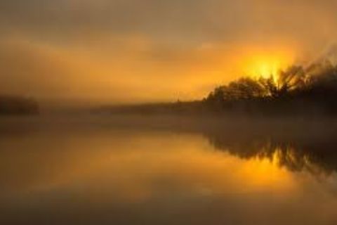 PLACID
