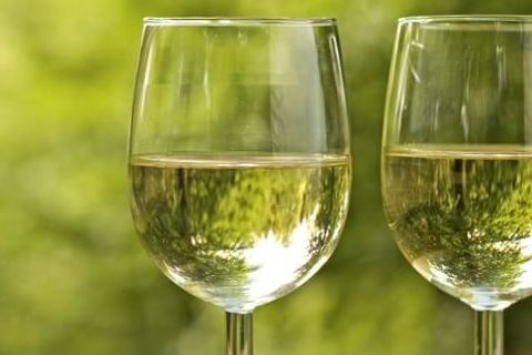 Wine Tasting