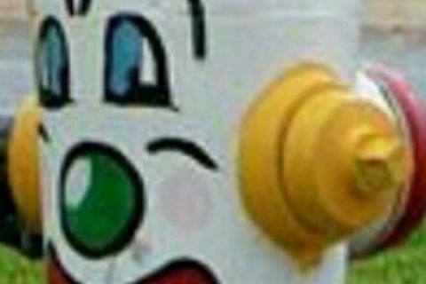 FIREHYDRANT