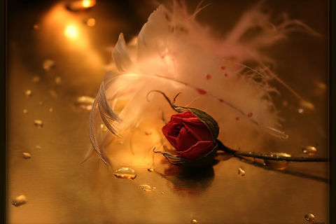 Alone 