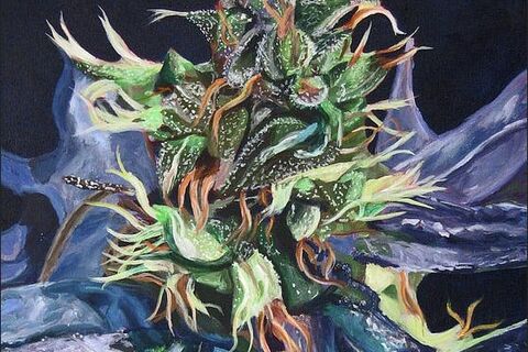 Ode to Dagga