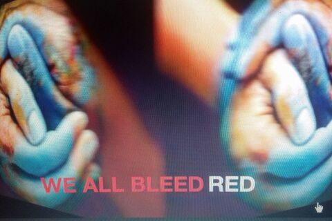 WE ALL BLEED RED