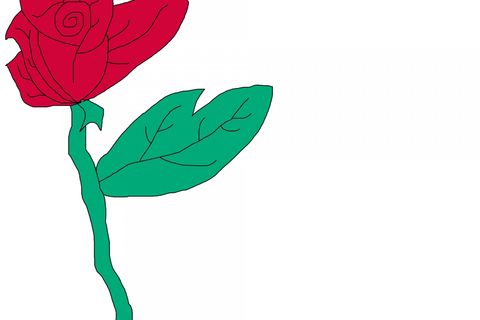 Darling bud