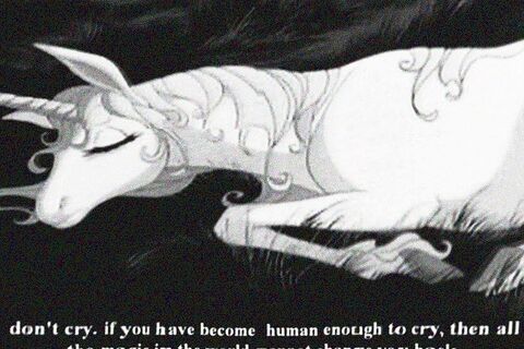 ~No More Tears~