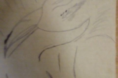 Brought Wrought/Animal