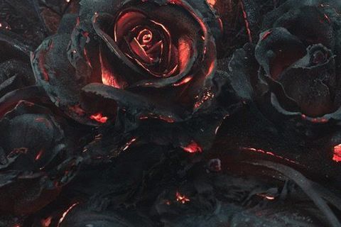EMBERS OF DECEPTION
