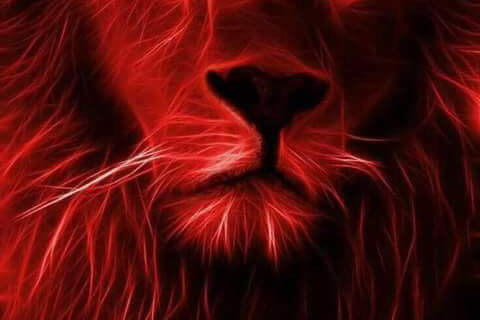 A red lion