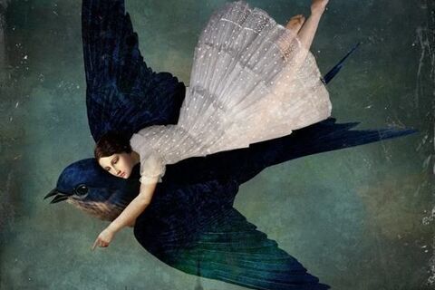 My Raven