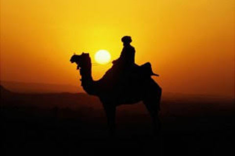 Bedouin desert 