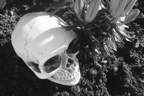 Pilgrimage of despair.