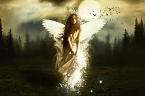 From The Ashes Came The Angels