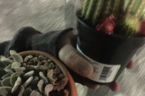 She Loved Another