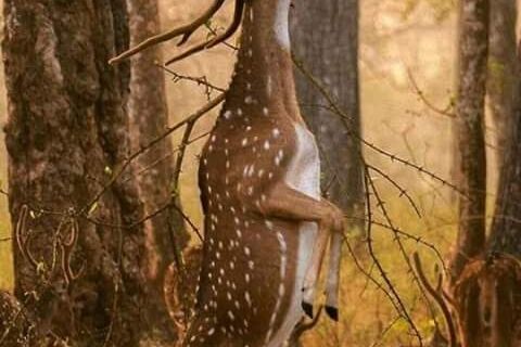 Never ending...nonesense