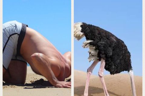 OSTRICH 