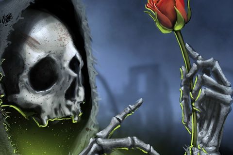 Death Toll