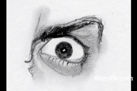 noctuary pt1