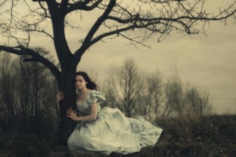 Lines Written Beneath a Tree