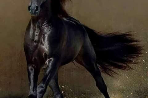 I will come back to you