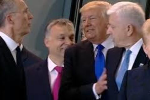 President THE Donald