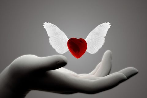 I Live Through Your Love