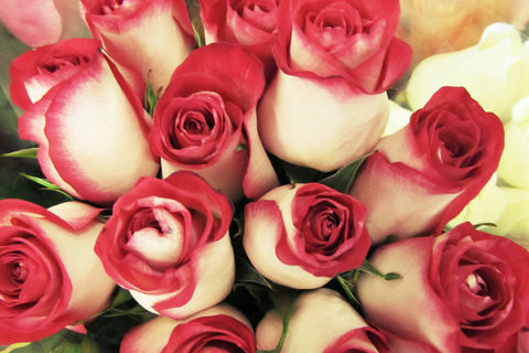 Always In Love With You Sweetheart