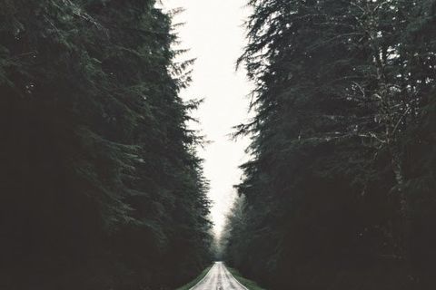A Hard Road to Healing!