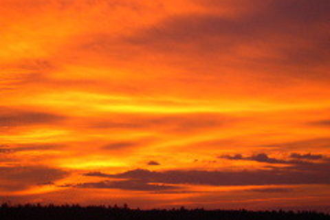 OUR SHARED DREAM (the Harvestcloud)