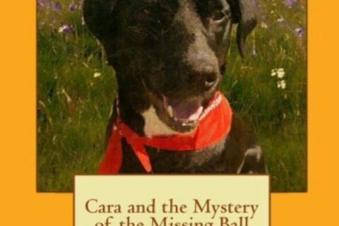 Cara, my dog.