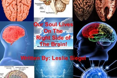 OUR SOULS ARE HOUSED IN THE RIGHT SIDE OF OUR BRAINS NOT THE SOLAR PLEXUS?