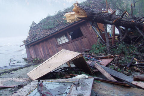 Disaster falling
