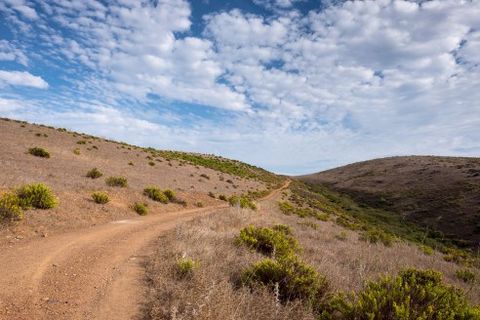 Trail