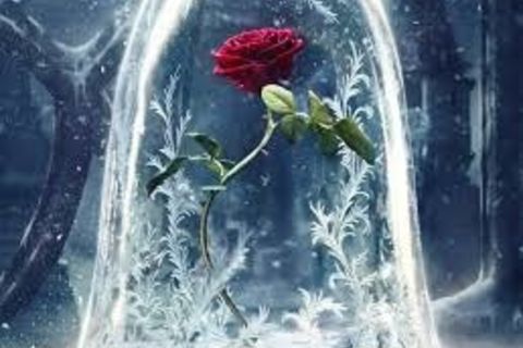 Philosophy of Love