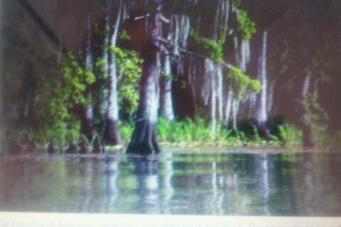 Swamp Murder  Rougarou Part II