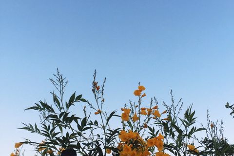 Salutations 