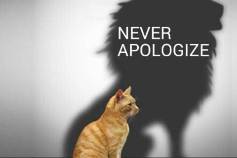 NEVER APOLOGIZE