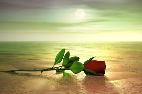 Love in the rarest form